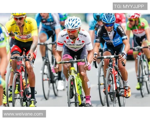 重庆排球队在洲际杯积分榜上以58分稳居第一名展现强劲实力