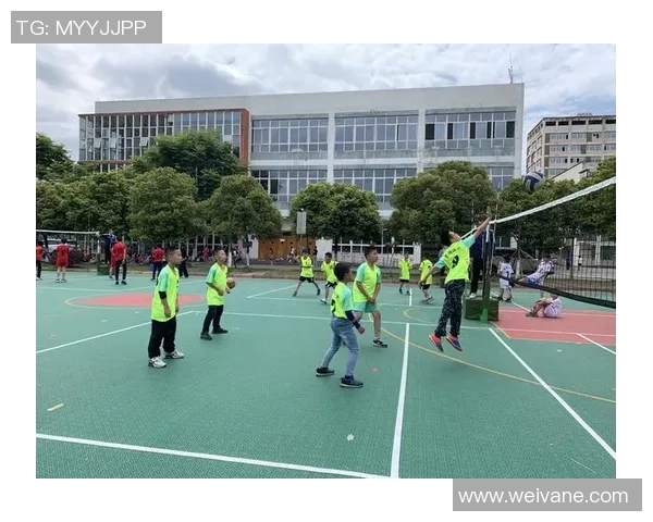 南京排球队的成长之路：城市联赛中的拼搏与梦想